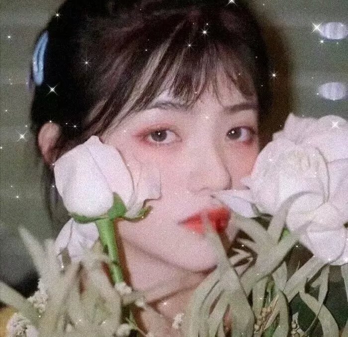 关于我家的一切
